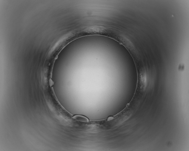 X0000111390396200907171251