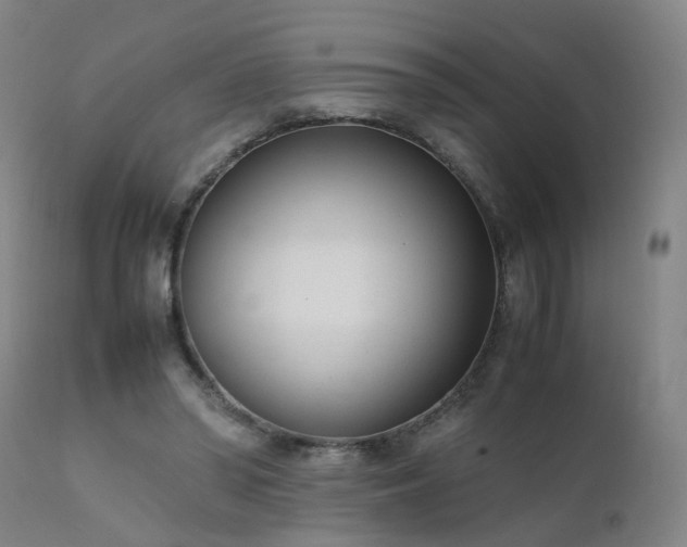 X0000111390398200907171251