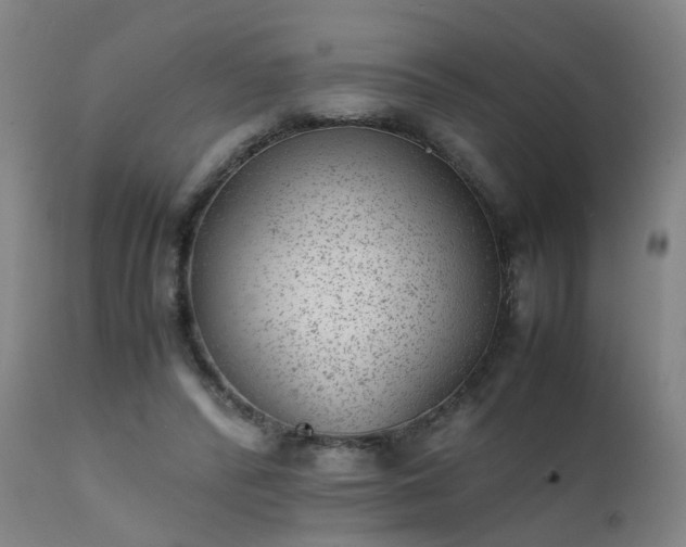 X0000111390400200907171251