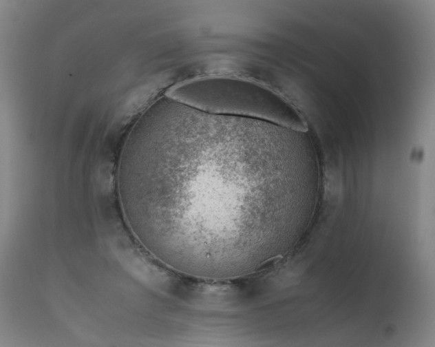 X0000111390401200907171251