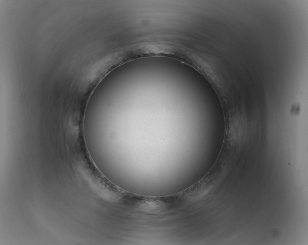 X0000111390402200907171251