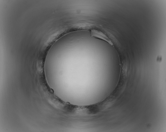 X0000111390403200907171251