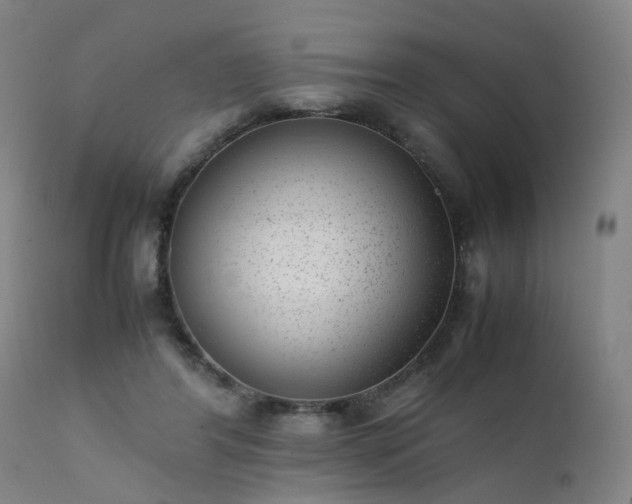 X0000111390404200907171251