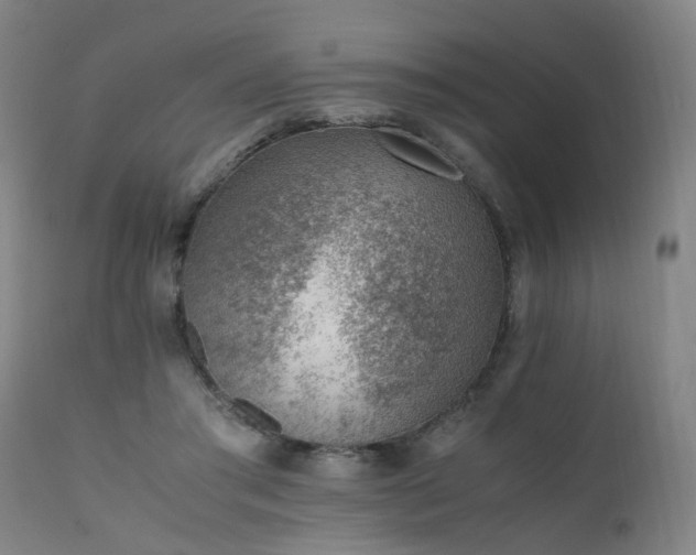 X0000111390405200907171251