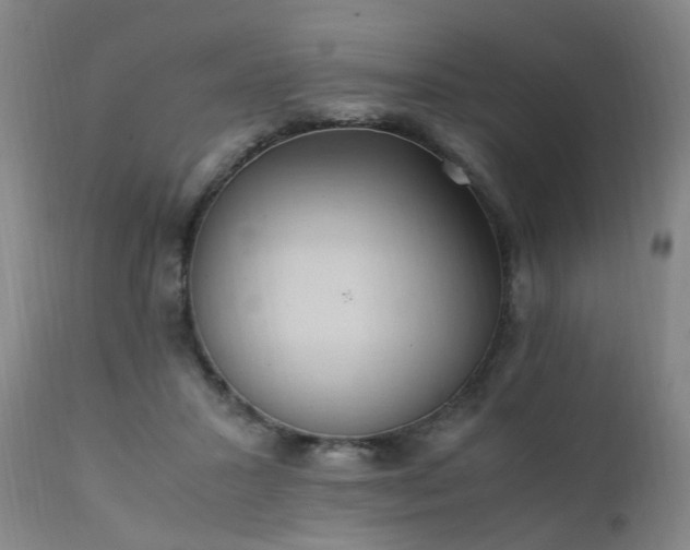 X0000111390407200907171251