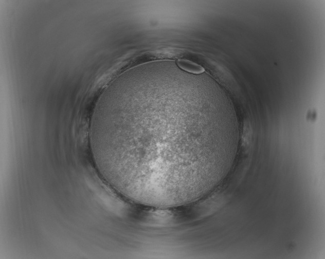 X0000111390409200907171251