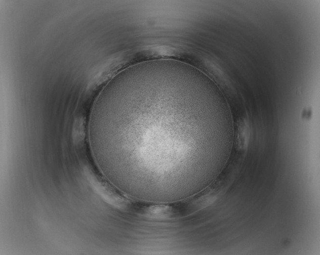 X0000111390410200907171251