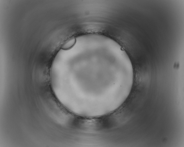 X0000111390411200907171251