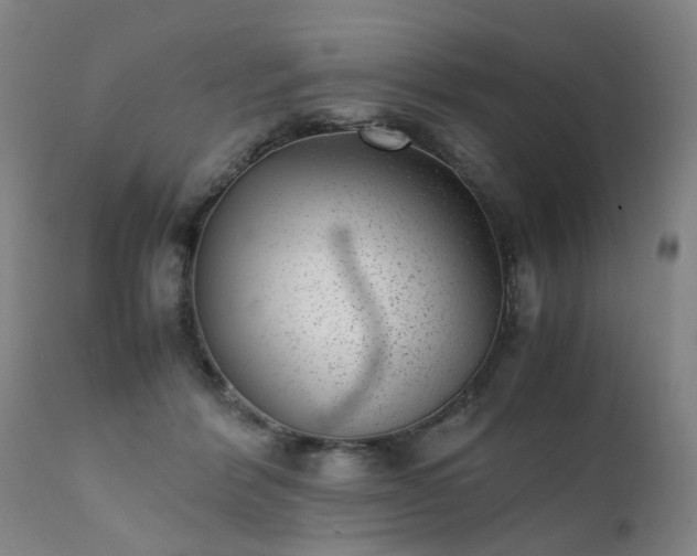 X0000111390412200907171251