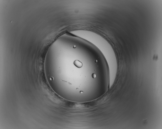 X0000111390413200907171251