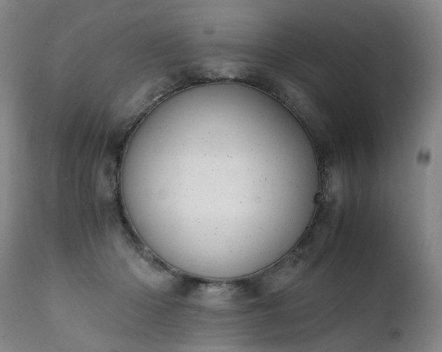 X0000111390414200907171251