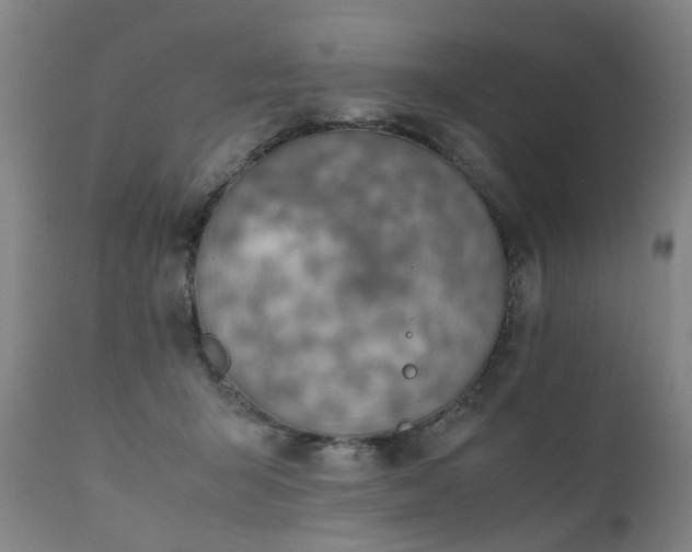 X0000111390415200907171251