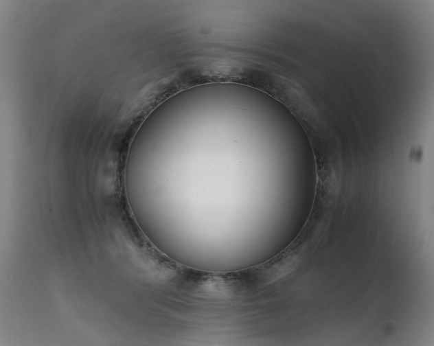 X0000111390416200907171251