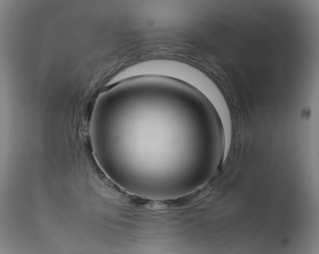 X0000111390419200907171251