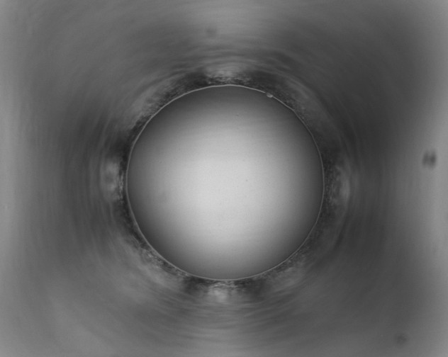 X0000111390420200907171251