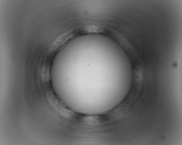 X0000111390422200907171251