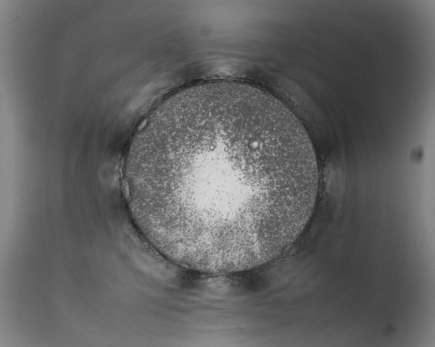 X0000111390423200907171251