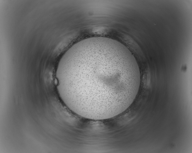 X0000111390424200907171251