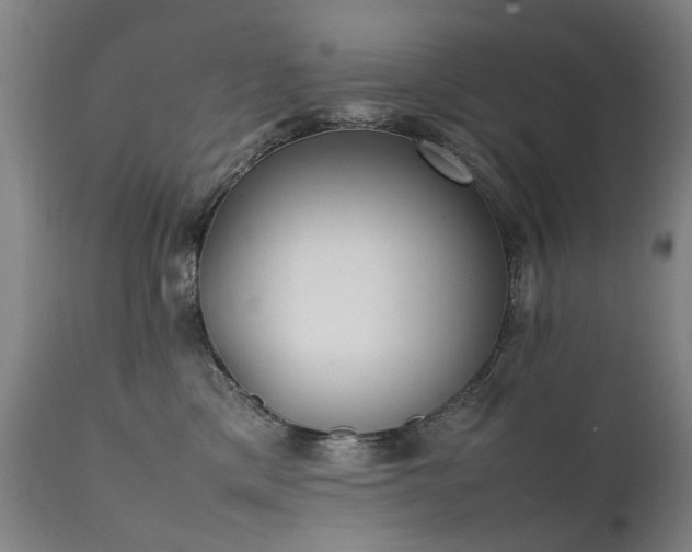 X0000111390425200907171251