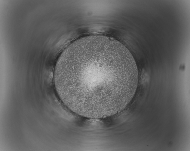 X0000111390427200907171251