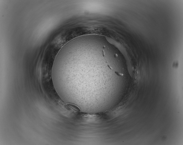 X0000111390428200907171251