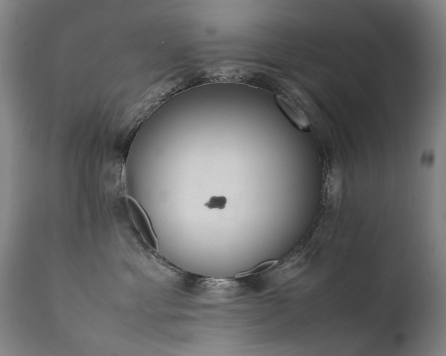 X0000111390429200907171251