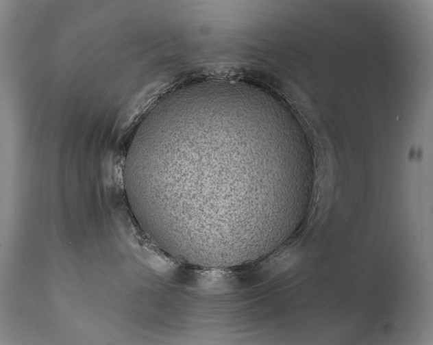 X0000111390432200907171250