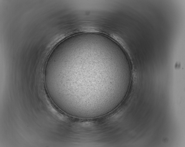 X0000111390433200907171250