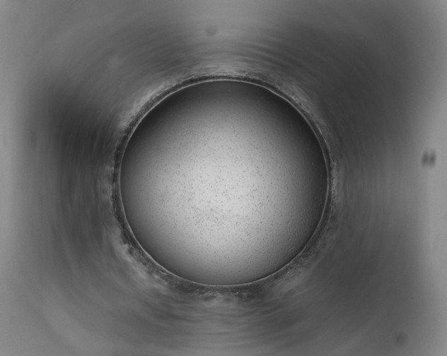 X0000111390434200907171250