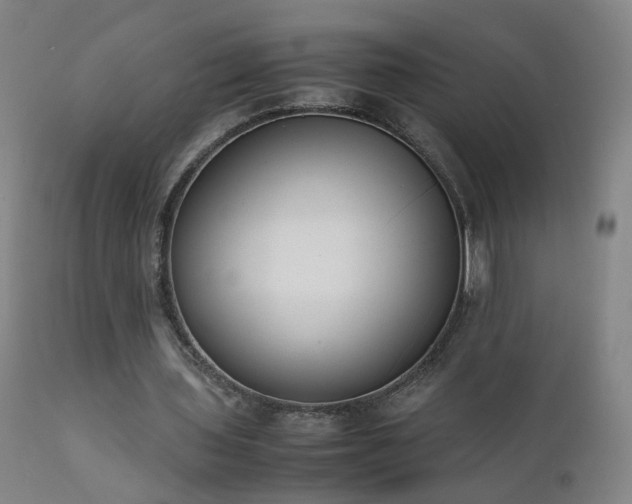 X0000111390435200907171250