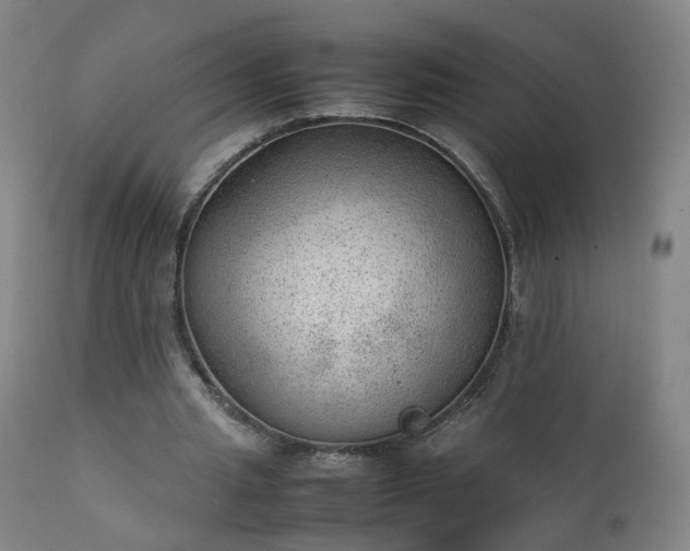 X0000111390437200907171250