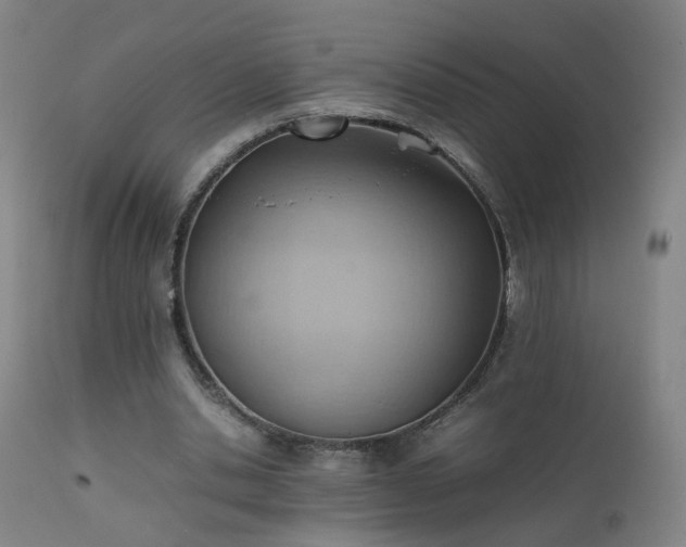 X0000111390438200907171250