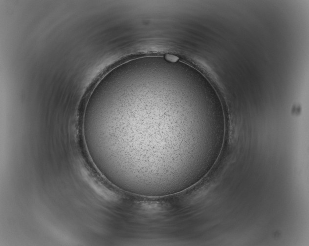 X0000111390439200907171250