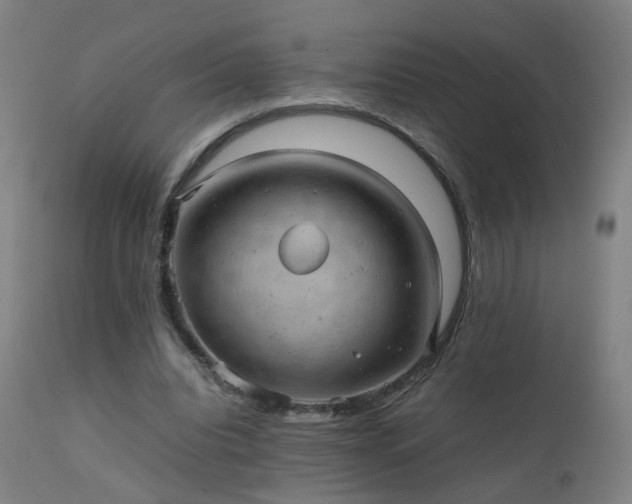 X0000111390440200907171250