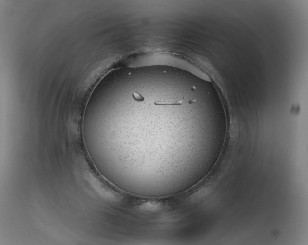 X0000111390441200907171250