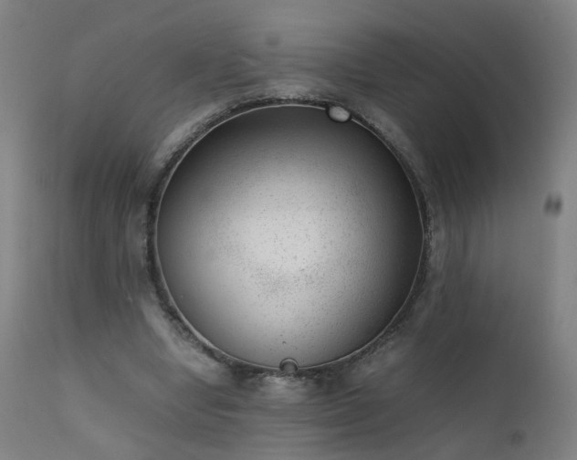 X0000111390442200907171250