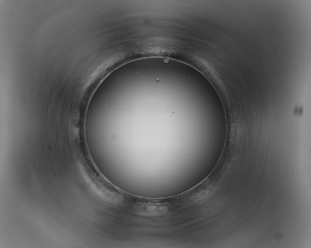 X0000111390443200907171250