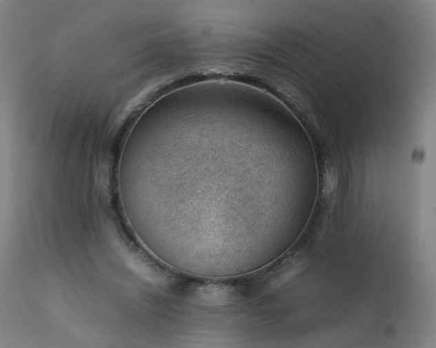 X0000111390444200907171250