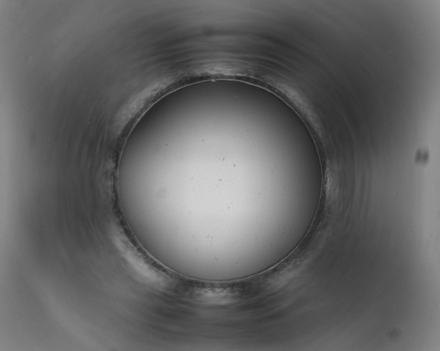 X0000111390445200907171250