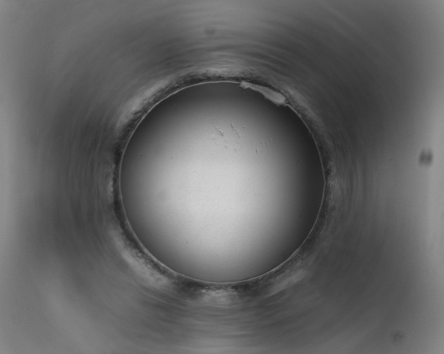 X0000111390446200907171250