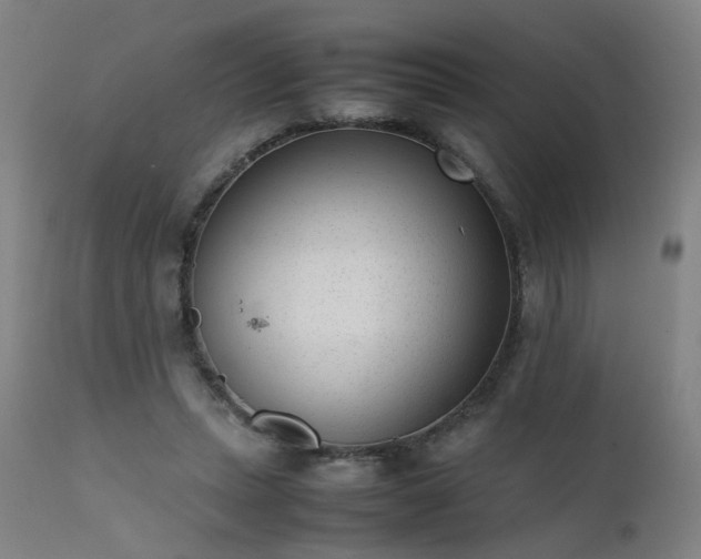 X0000111390447200907171250