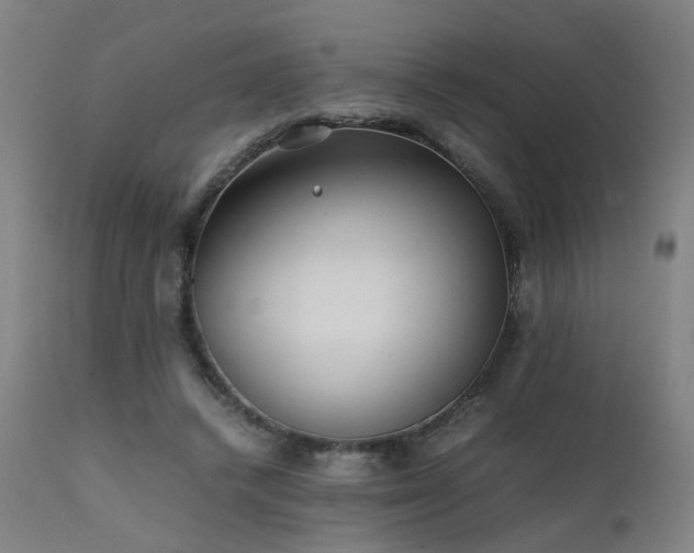 X0000111390448200907171250