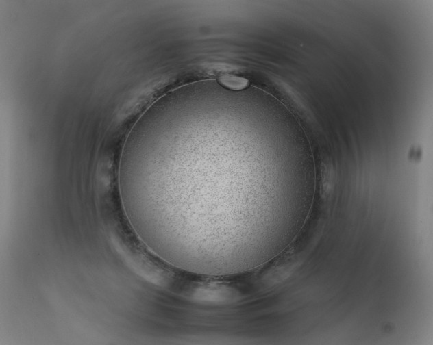 X0000111390451200907171250