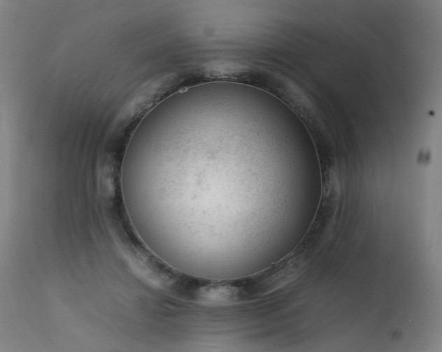 X0000111390452200907171250