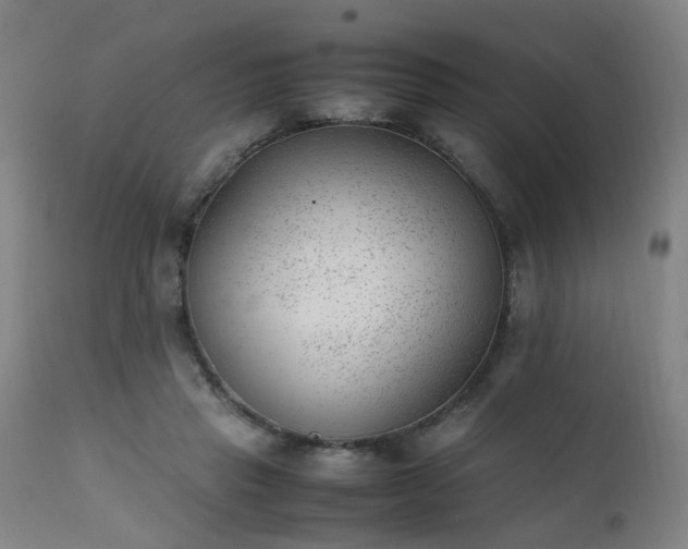 X0000111390453200907171250