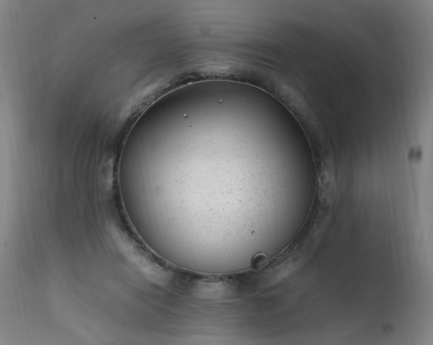 X0000111390454200907171250