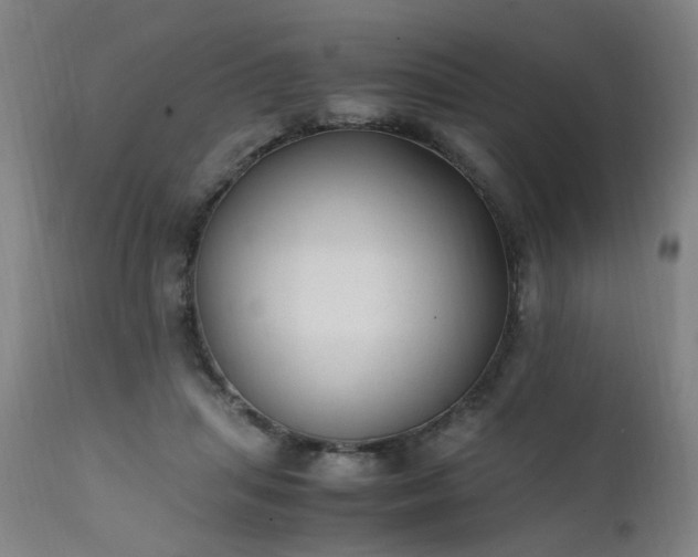 X0000111390455200907171250