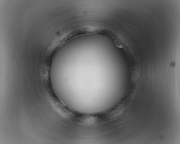 X0000111390456200907171250