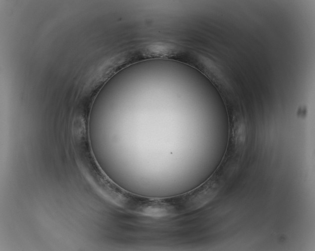 X0000111390459200907171250