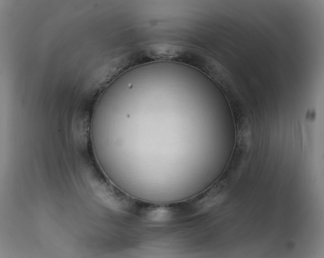 X0000111390460200907171250